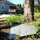 Image for article titled I Just Came Home to a Junkyard